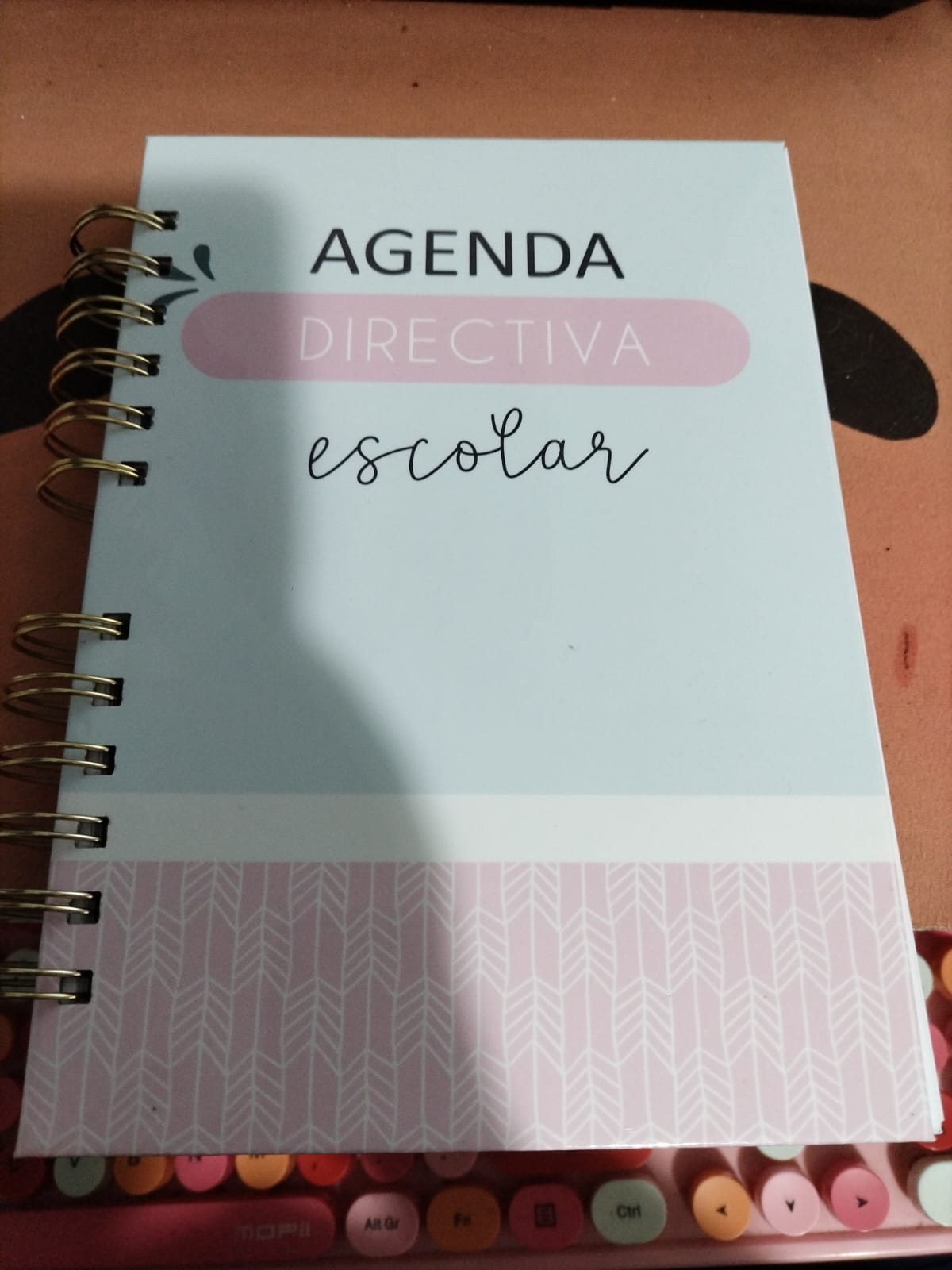 Agenda A5: ejemplo de portada para directiva escolar